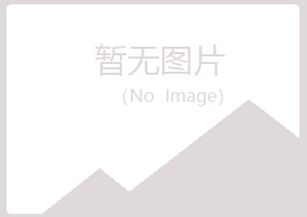 岐山县涟漪采矿有限公司